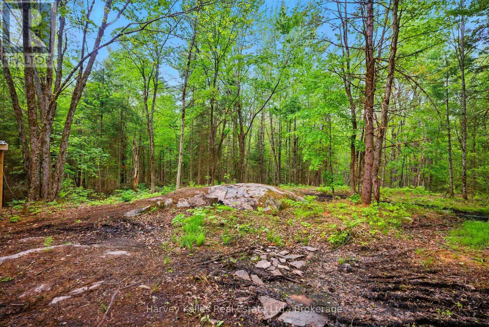 1165 PETERSON ROAD Image 49