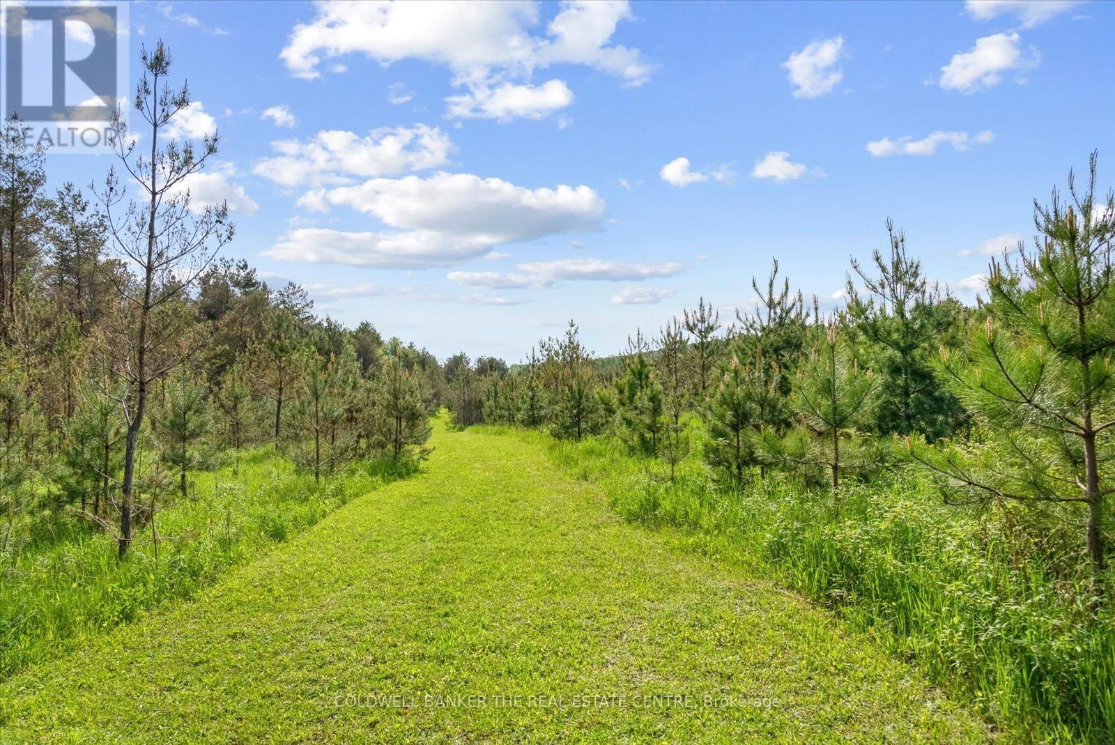 798213 3RD LINE Image 50