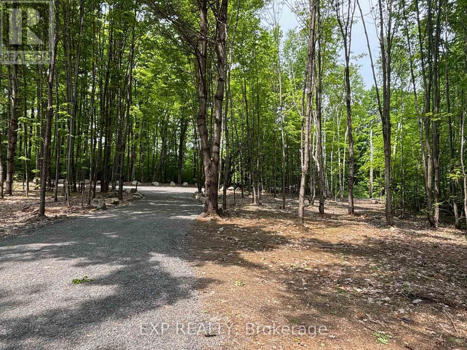3191 MOUNTAINVIEW ROAD Image 32