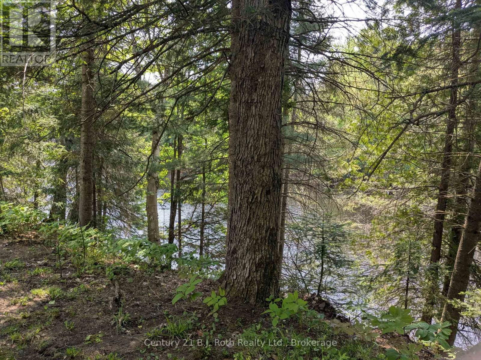 836 LAKE NIPISSING ROAD Image 14