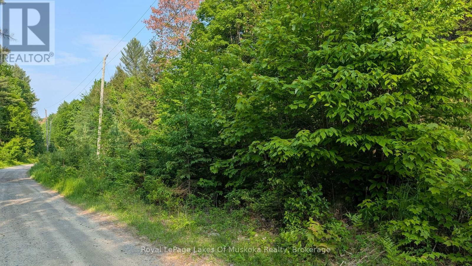 75 CENTURIAN TRAIL Image 11