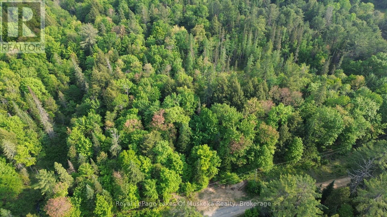 75 CENTURIAN TRAIL Image 7