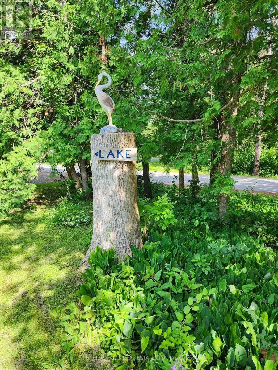 63 THOMAS DRIVE Image 5
