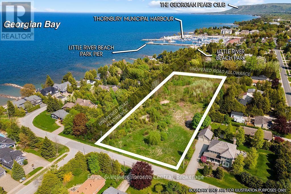 Primary Property View