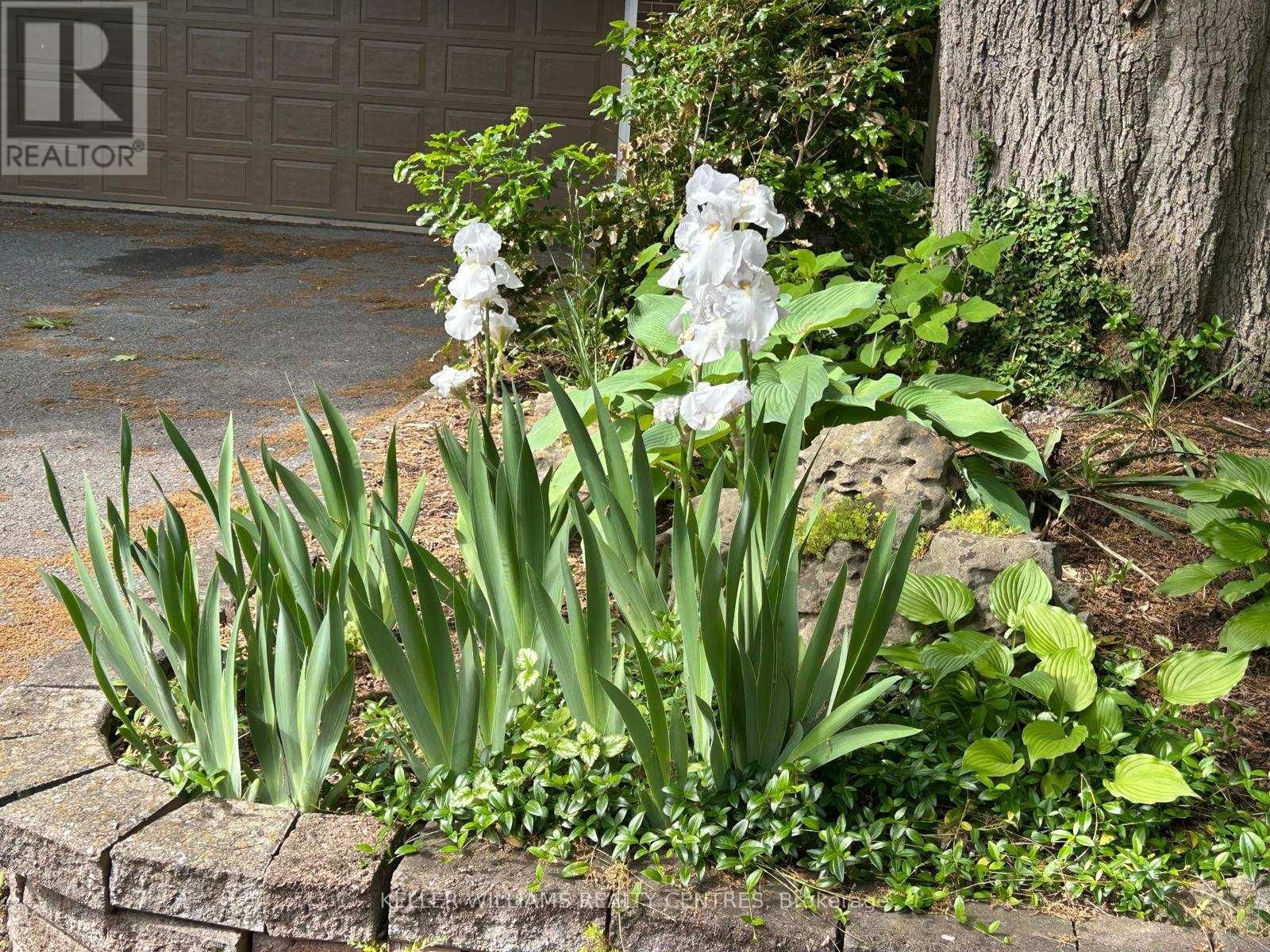 9 WOOD DALE DRIVE Image 35