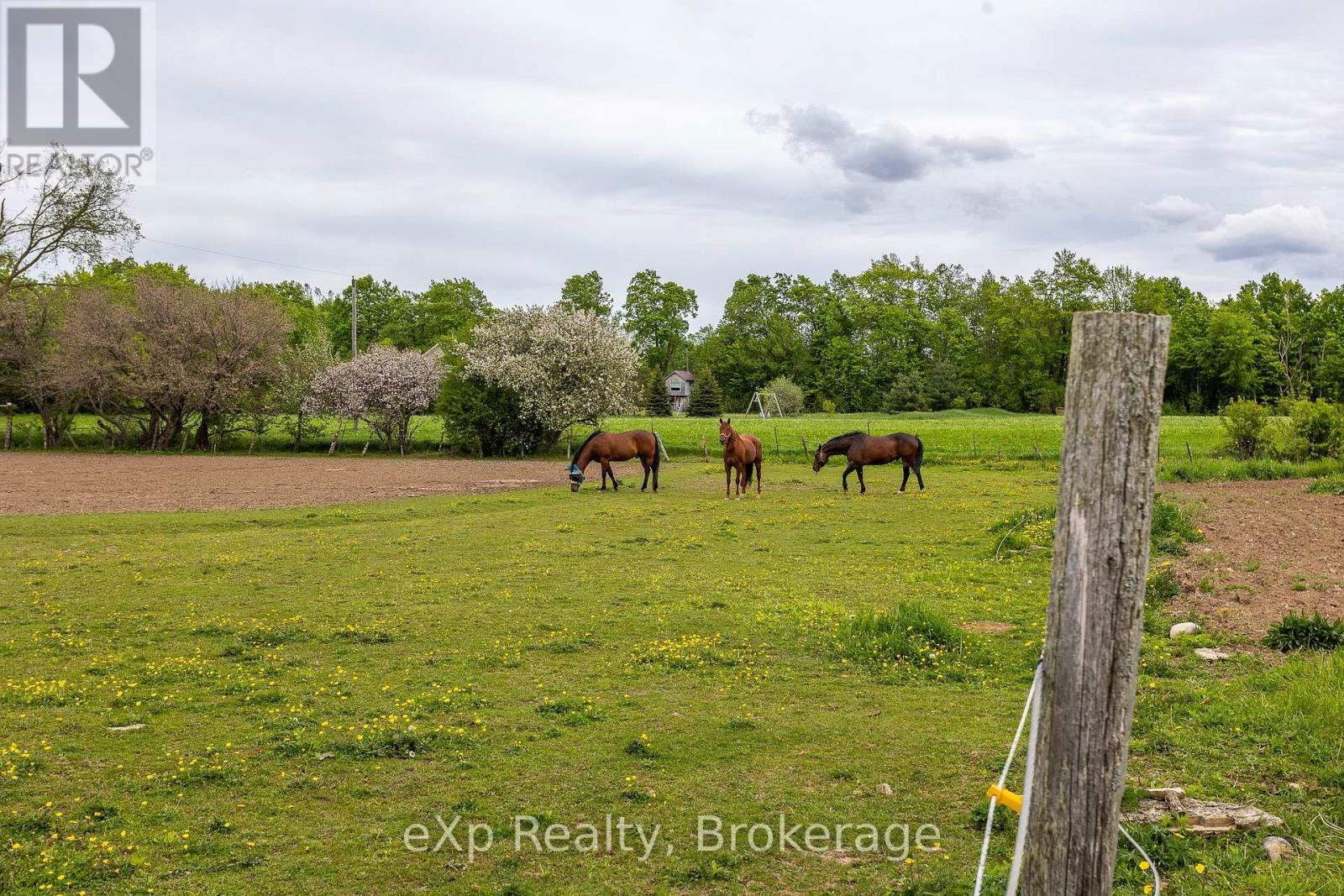 46304 OLD MAIL ROAD Image 29