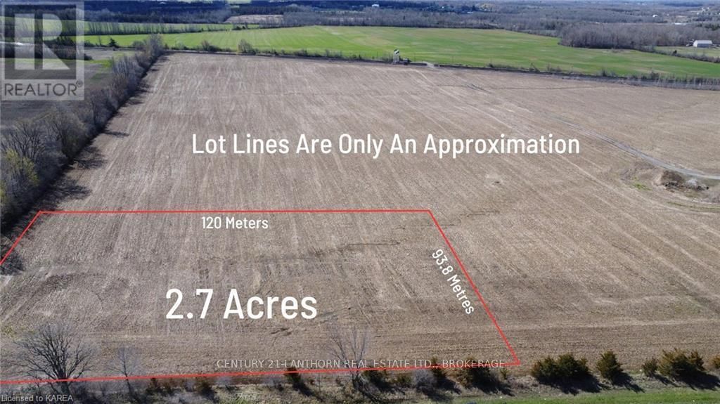Primary Property View