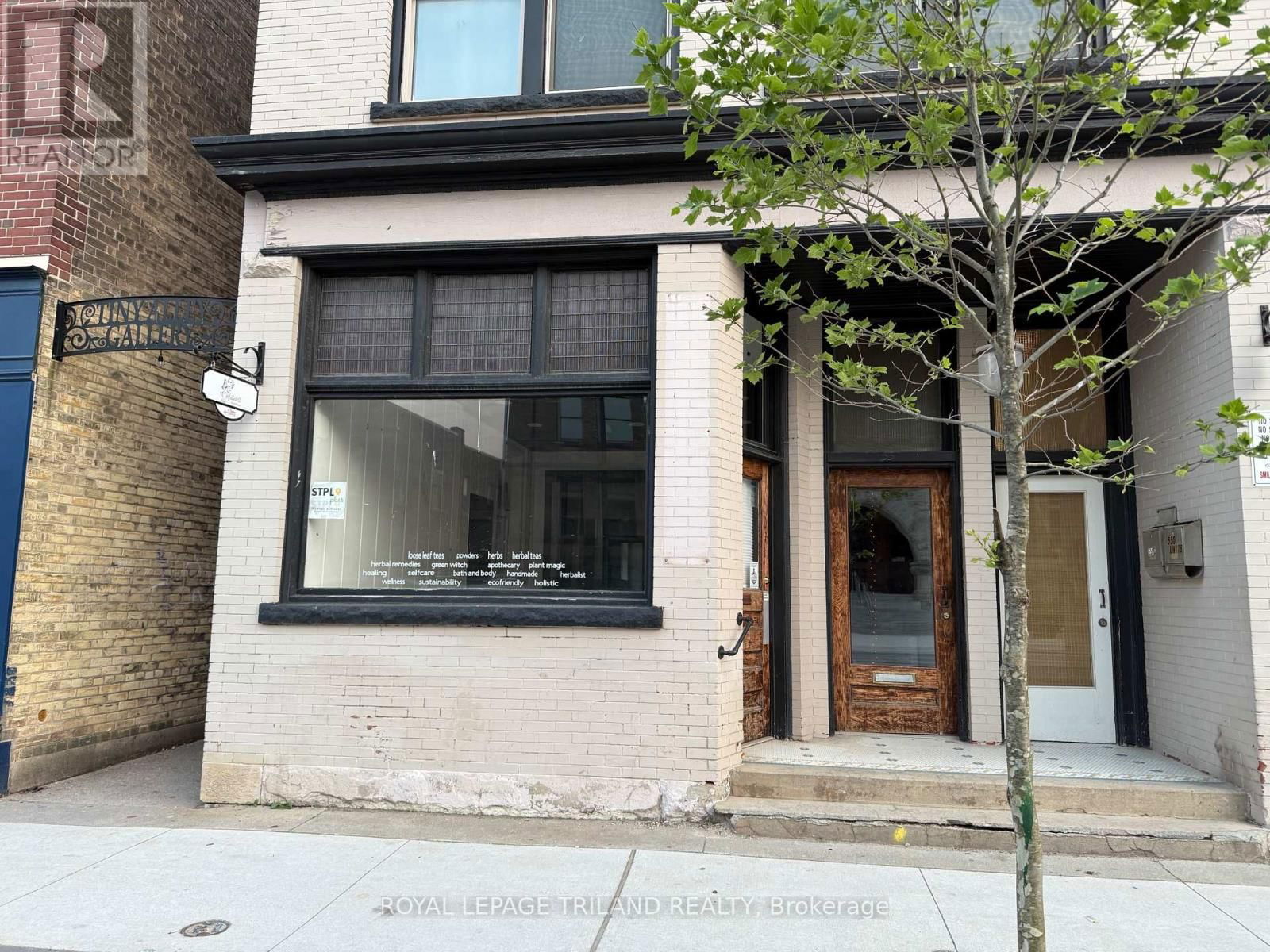 548 TALBOT STREET Image 5