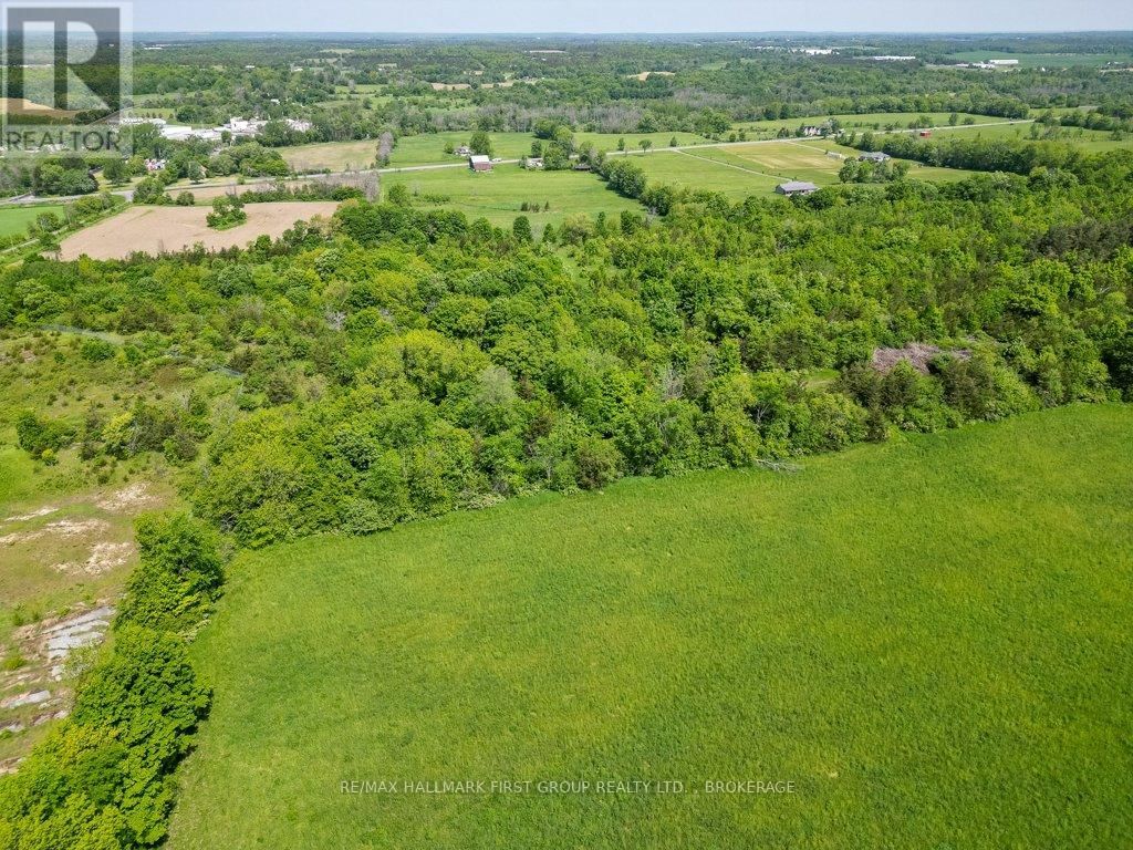 1551 COUNTY ROAD 1 EAST ROAD EAST Image 15