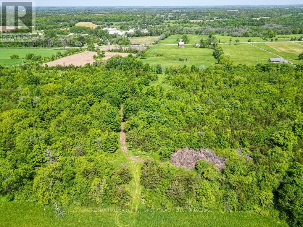 1551 COUNTY ROAD 1 EAST ROAD EAST Image 16