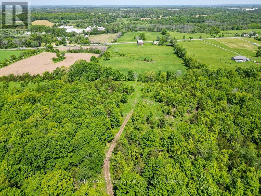 1551 COUNTY ROAD 1 EAST ROAD EAST Image 17