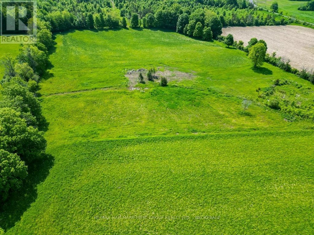 1551 COUNTY ROAD 1 EAST ROAD EAST Image 24