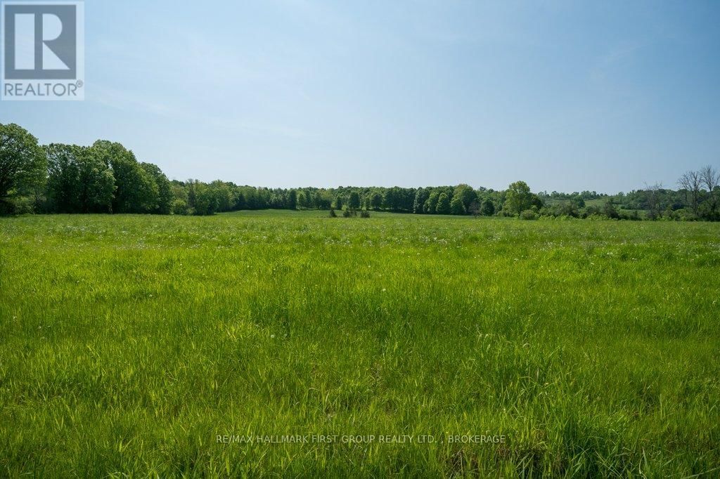 1551 COUNTY ROAD 1 EAST ROAD EAST Image 39