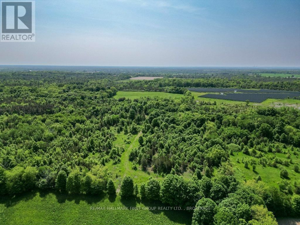 1551 COUNTY ROAD 1 EAST ROAD EAST Image 8
