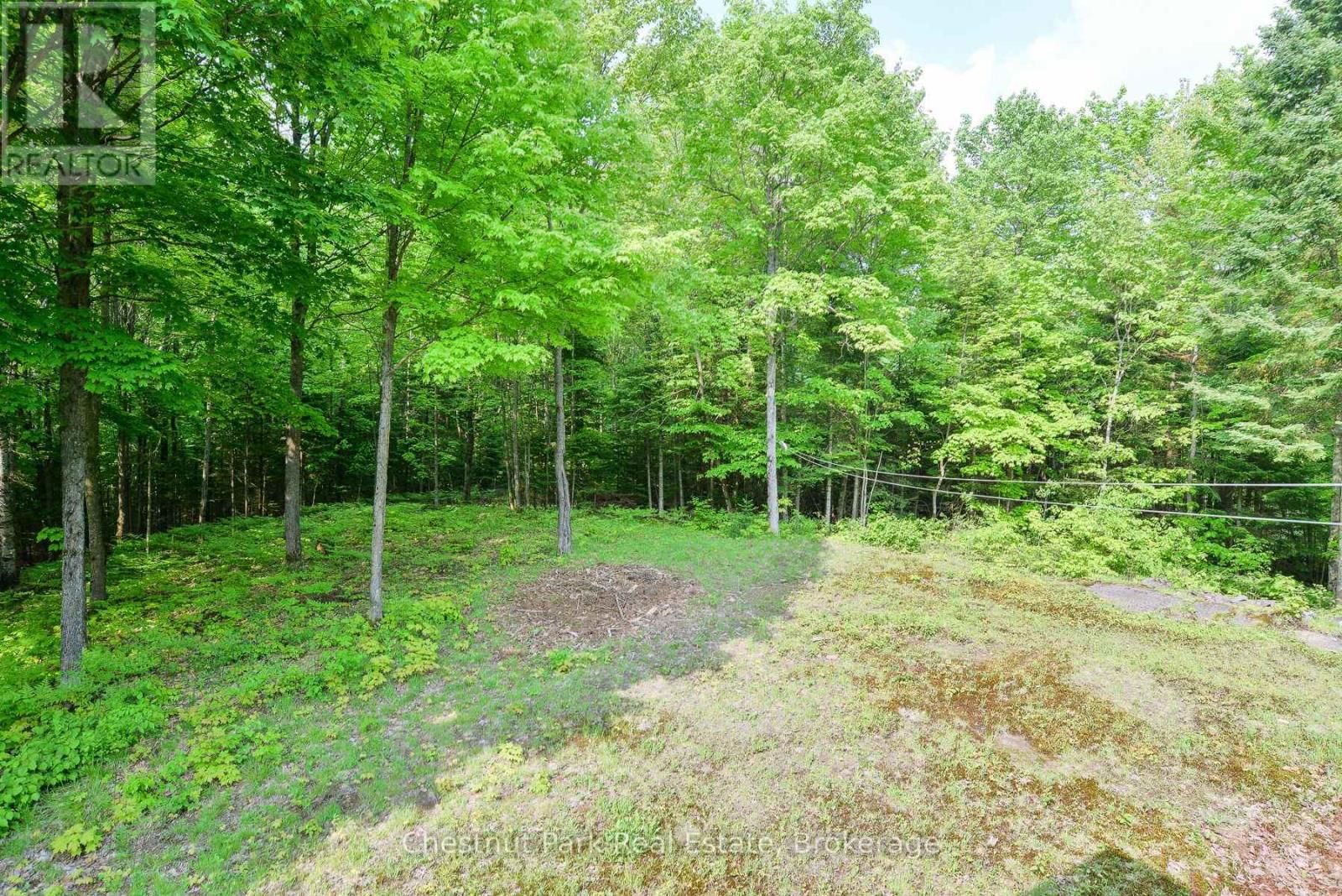 628 LYNX LAKE ROAD Image 25