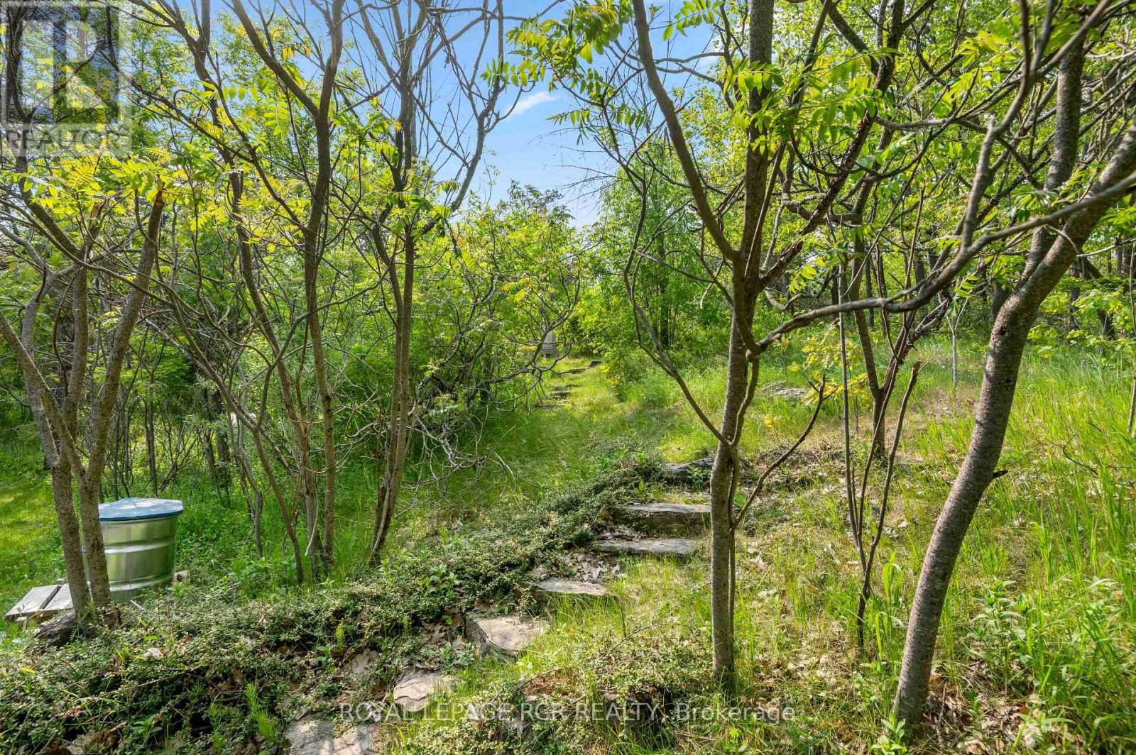 487151 30 SIDE ROAD Image 47
