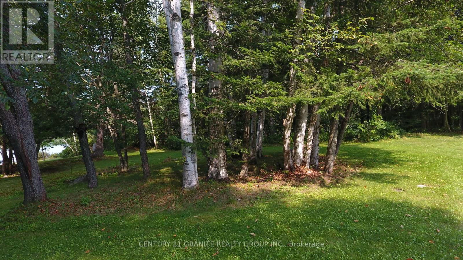 54 CEDAR DRIVE Image 43