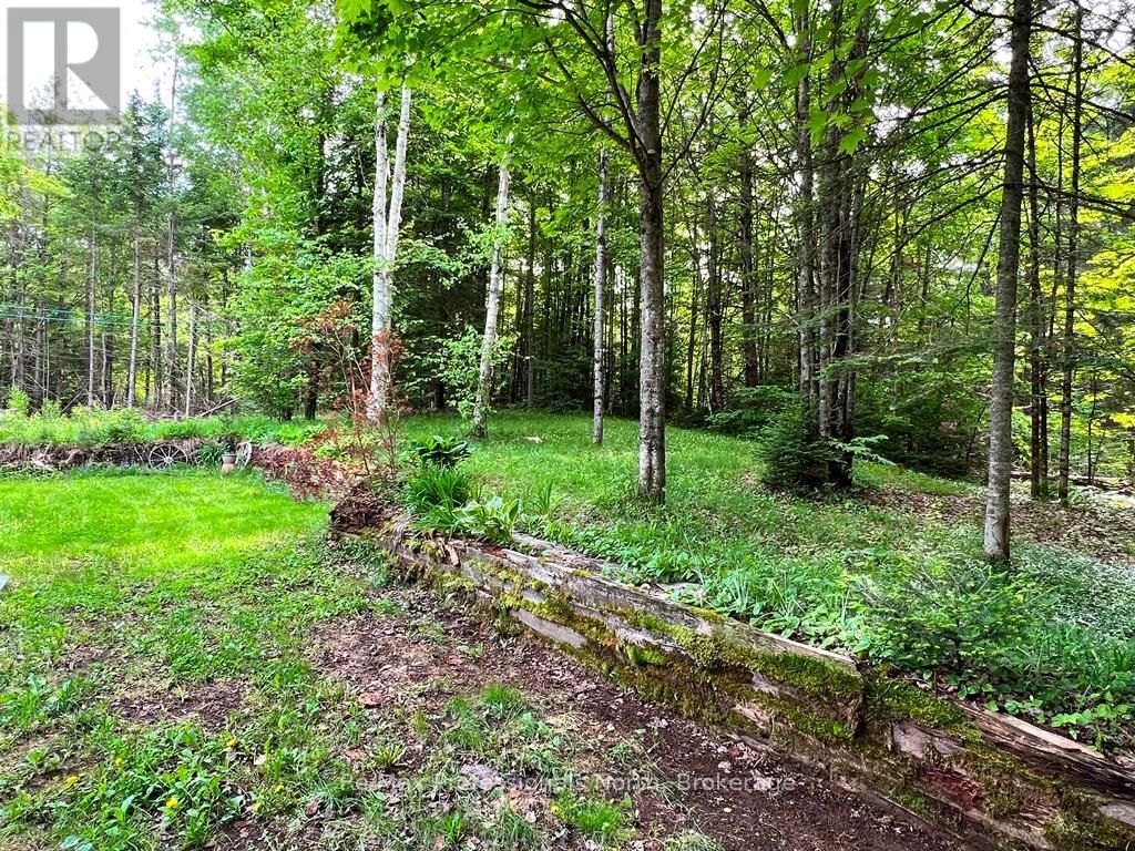 1065 COCKLE CREEK ESTATES ROAD Image 15