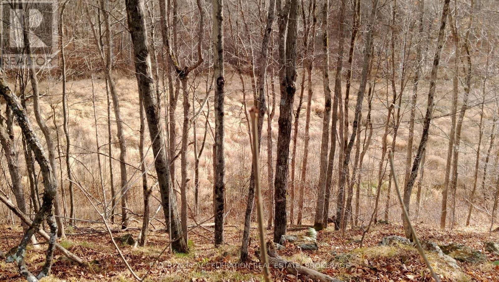 0 TRYON ROAD Image 3