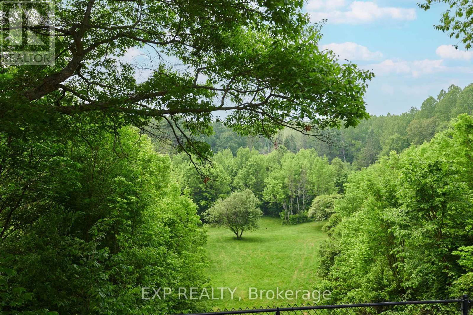 353 FERGUSON ROAD Image 28