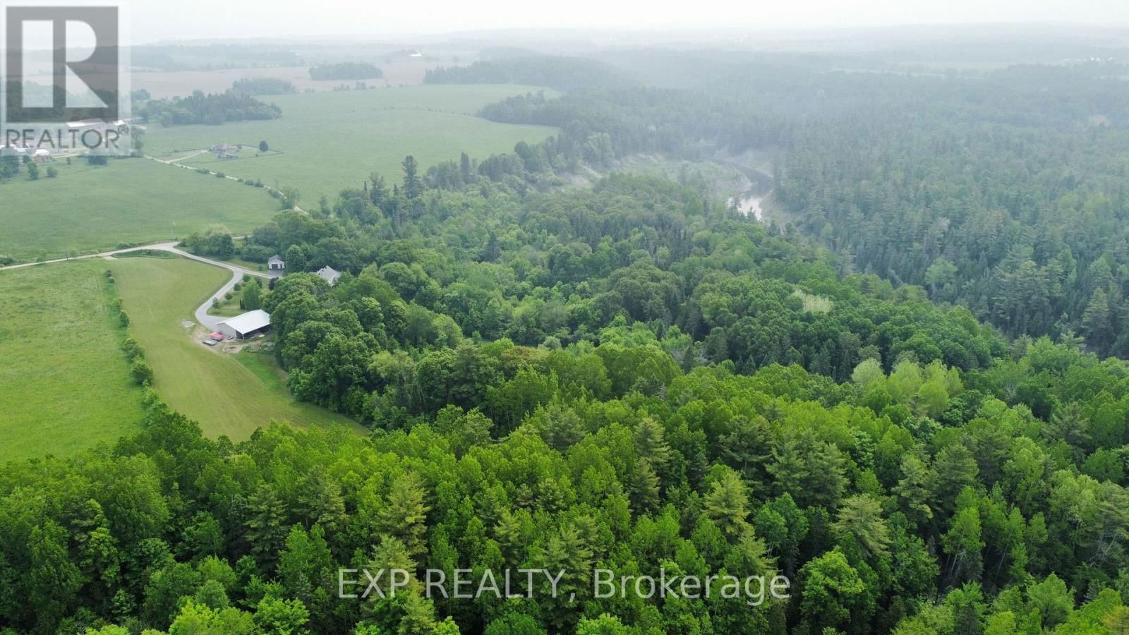 353 FERGUSON ROAD Image 35