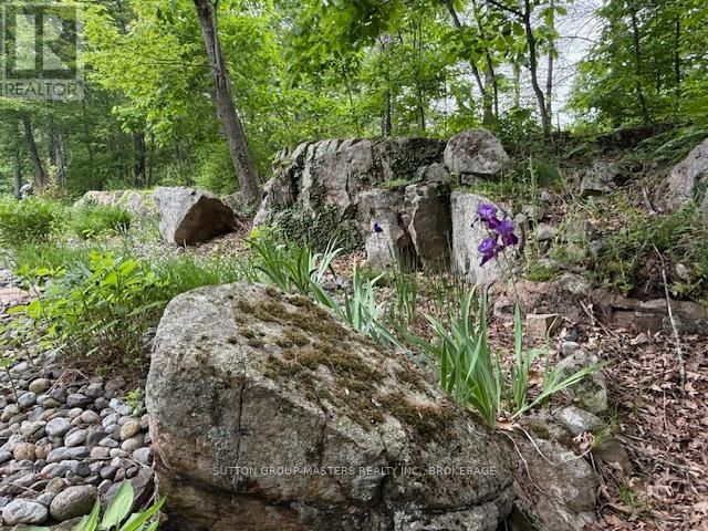 168 ESCOTT ROCKPORT ROAD Image 3