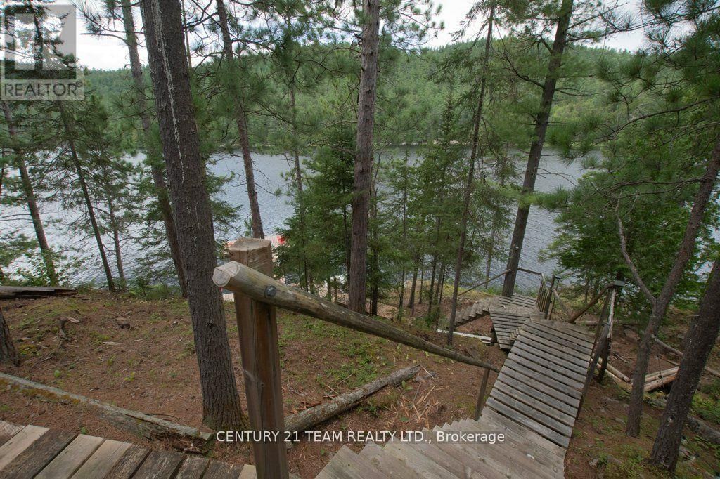 661 OLD HWY 17 ROAD Image 5