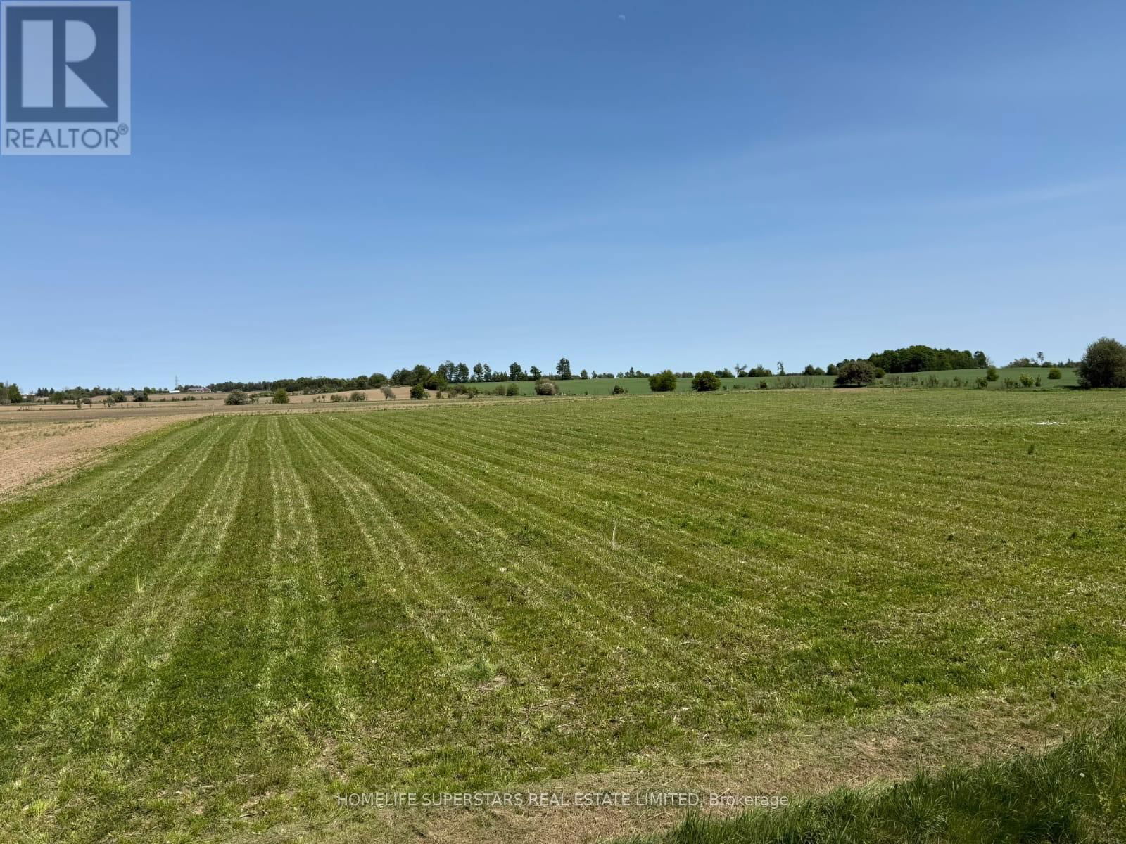 214131 10TH LINE Image 3