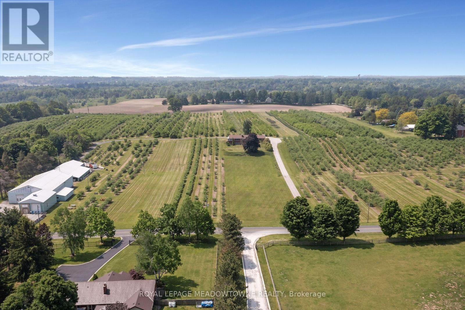 Primary Property View