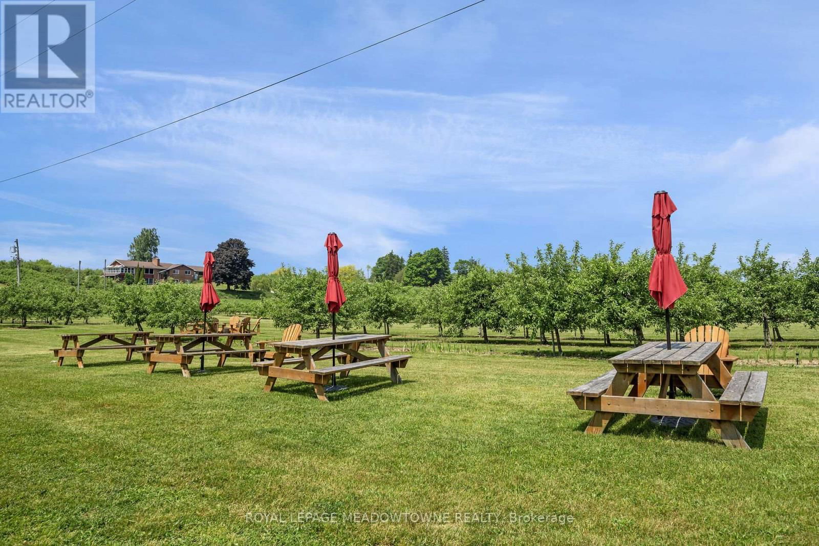 1453 MILBUROUGH LINE Image 12