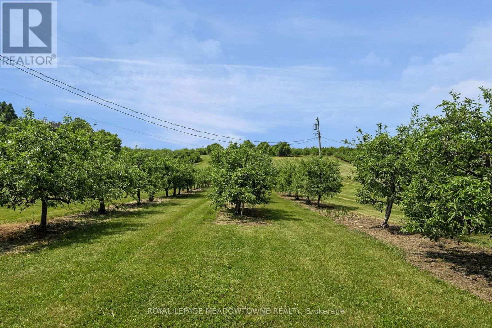 1453 MILBUROUGH LINE Image 15