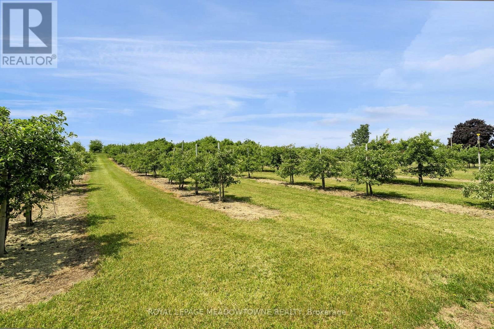 1453 MILBUROUGH LINE Image 37