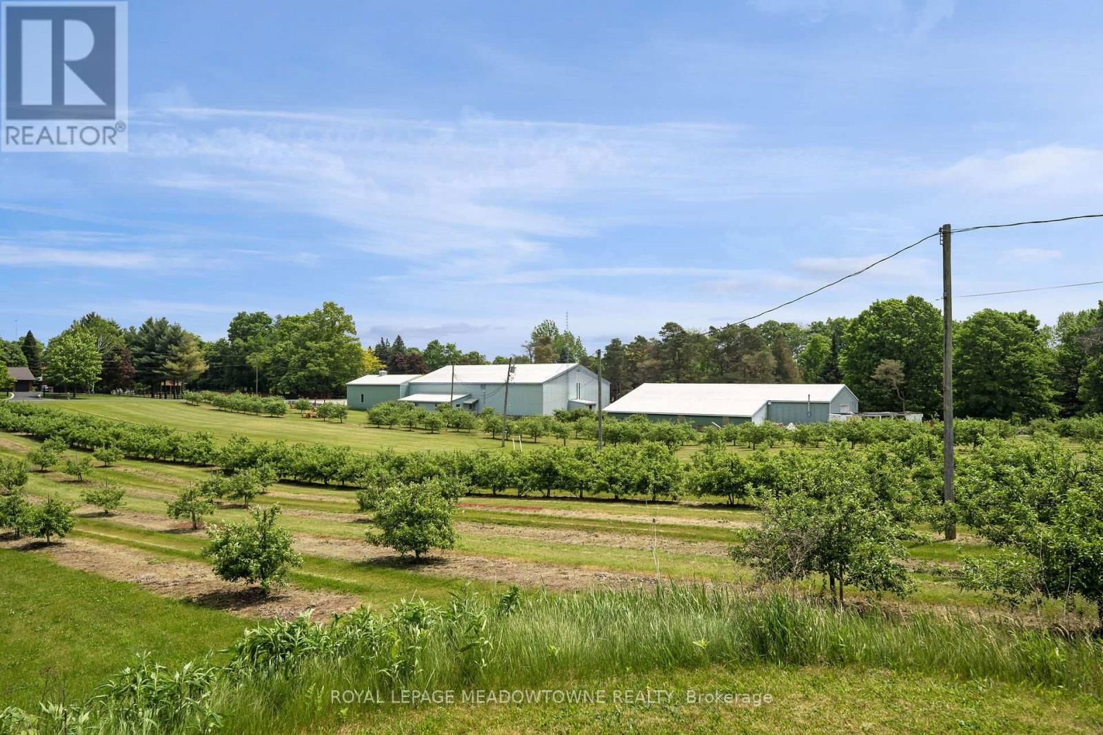 1453 MILBUROUGH LINE Image 39