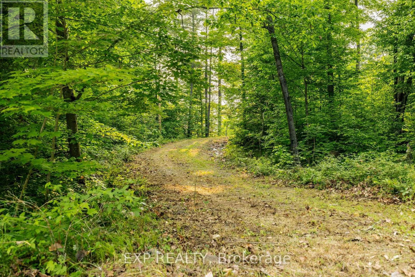 1225 BARRETT CHUTE ROAD Image 10