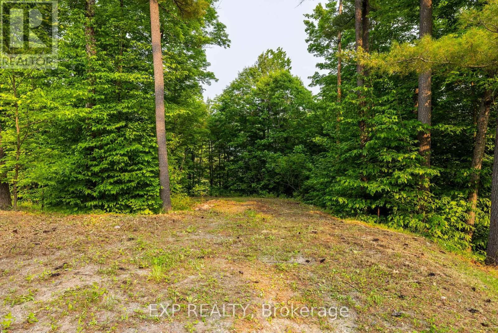 1225 BARRETT CHUTE ROAD Image 6