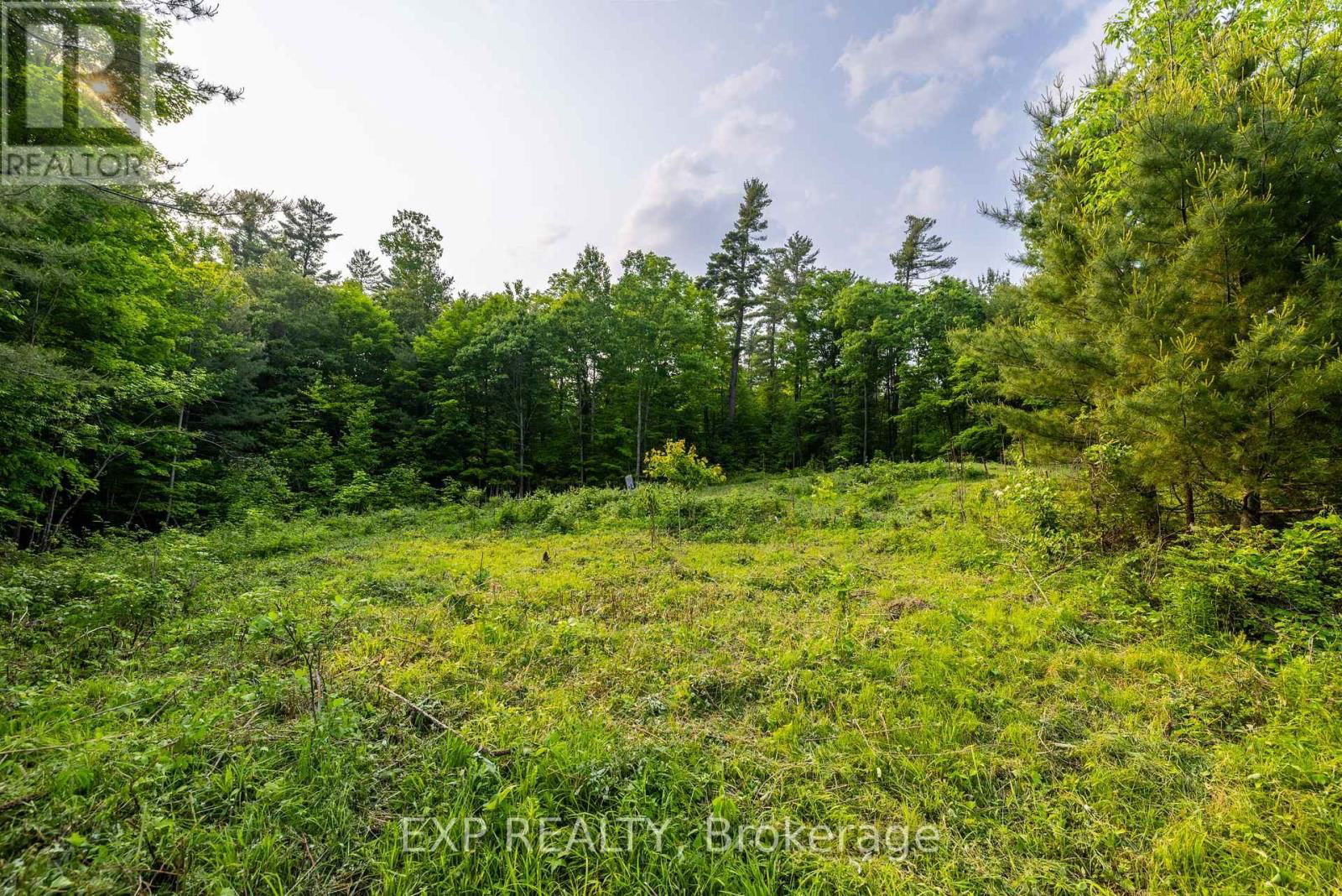 1225 BARRETT CHUTE ROAD Image 9