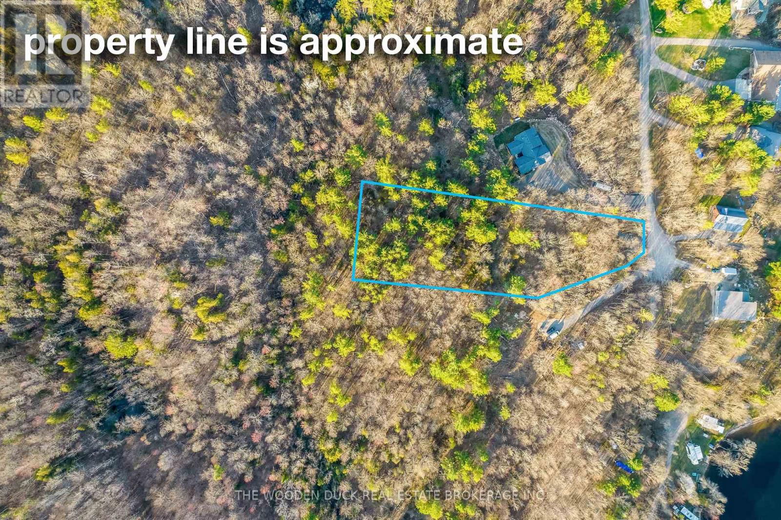 Primary Property View