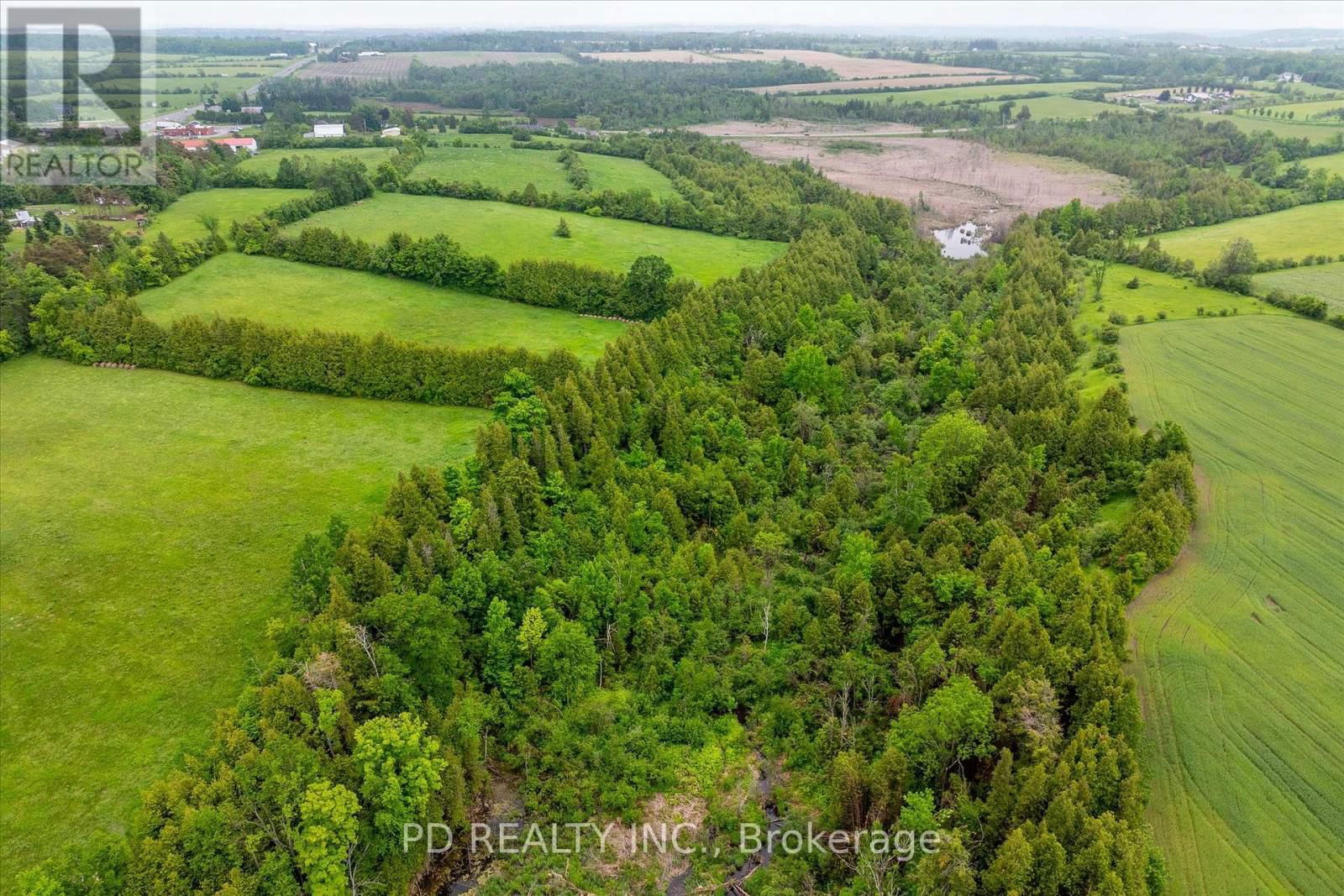 4925 HIGHWAY 7 Image 31