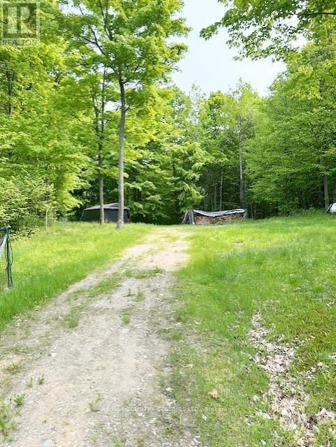 182 CENTREVIEW ROAD Image 24