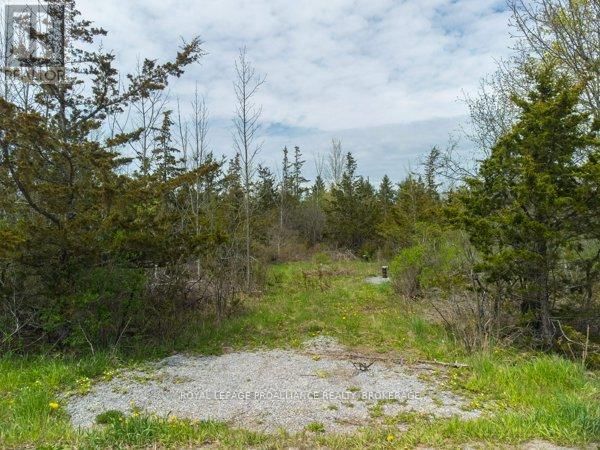 1685 SUNNYSIDE ROAD Image 3