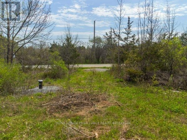 1685 SUNNYSIDE ROAD Image 4