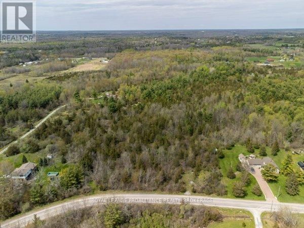1685 SUNNYSIDE ROAD Image 7