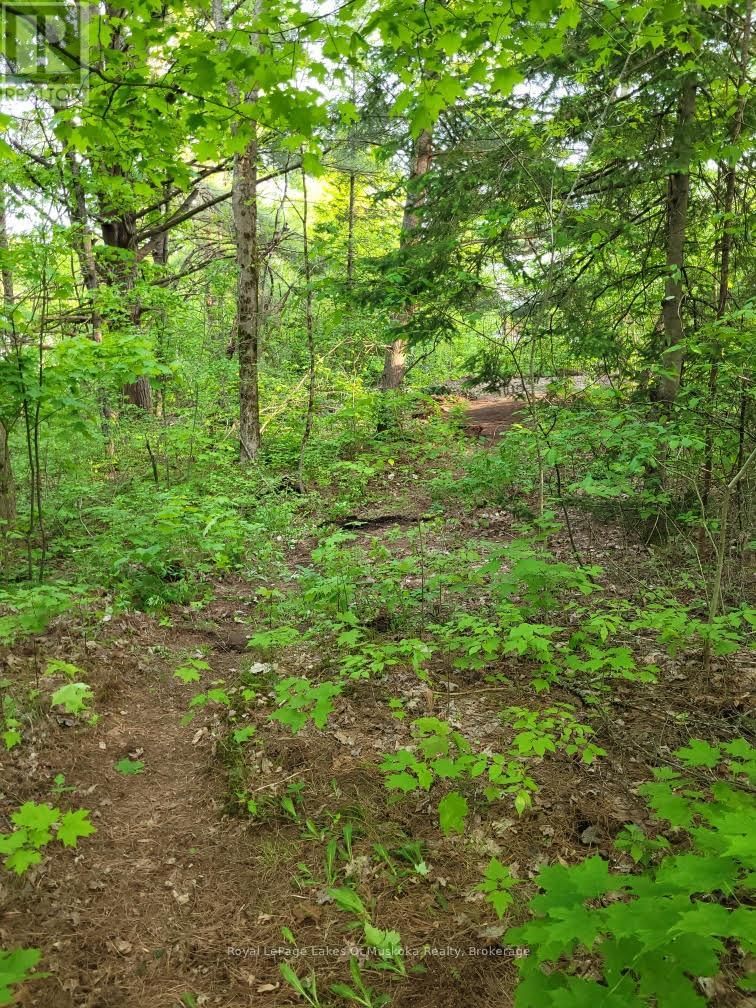 00 SPRUCE STREET Image 4