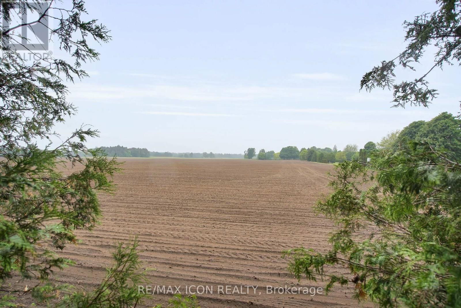 8241 SANDYTOWN ROAD Image 43