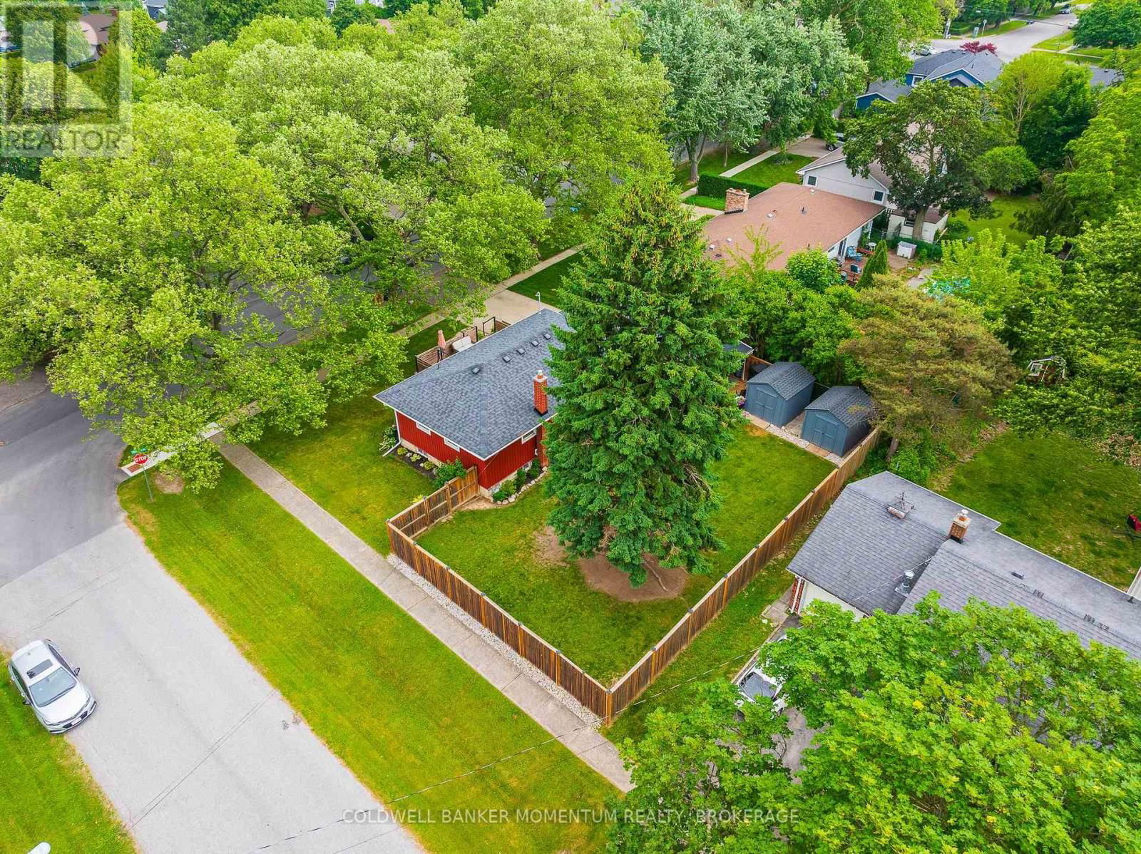 7 OVERHOLT STREET Image 40