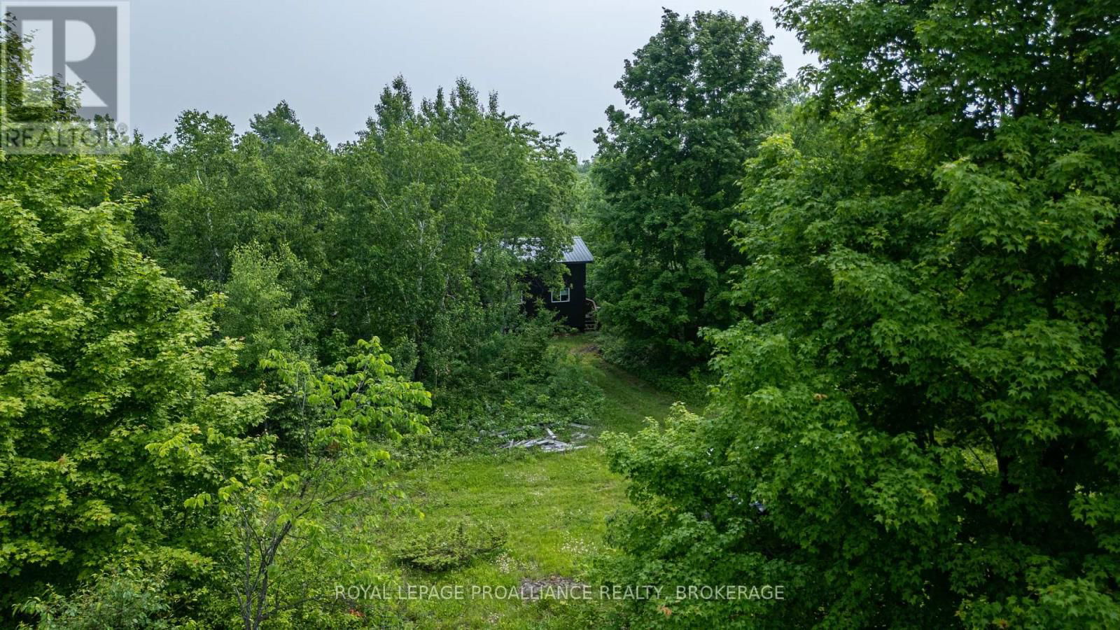 Primary Property View