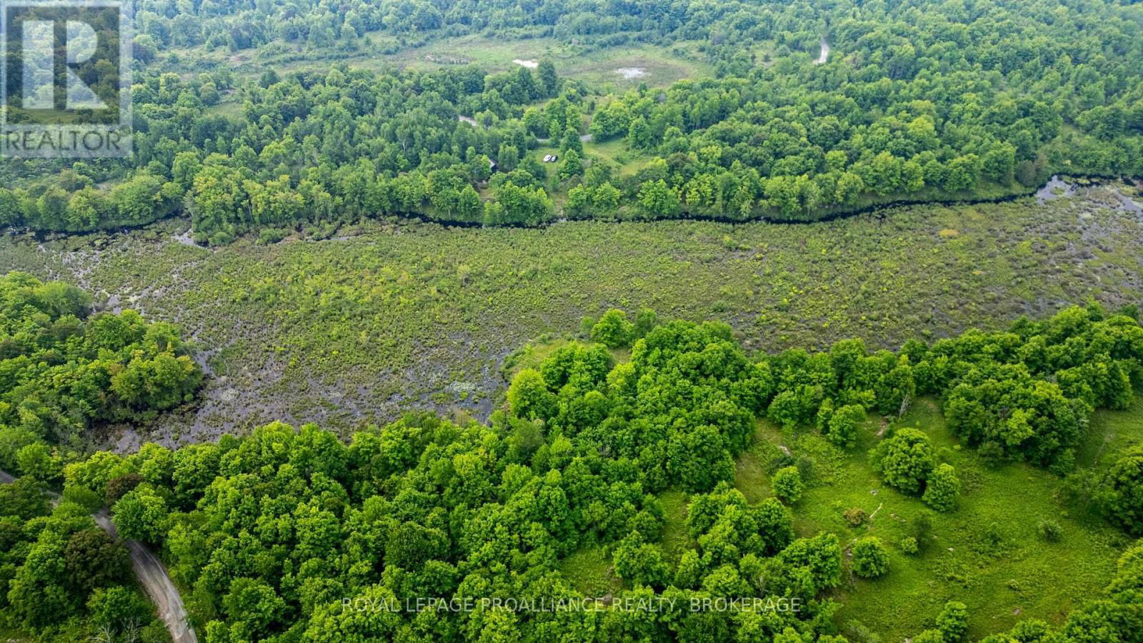 384 BIG CROSBY LAKE ROAD Image 12