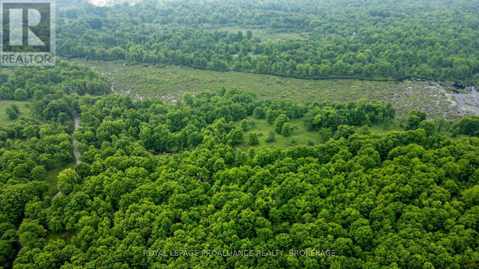 384 BIG CROSBY LAKE ROAD Image 13
