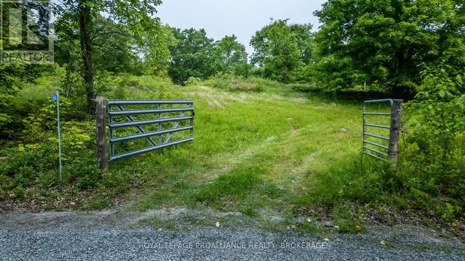 384 BIG CROSBY LAKE ROAD Image 4