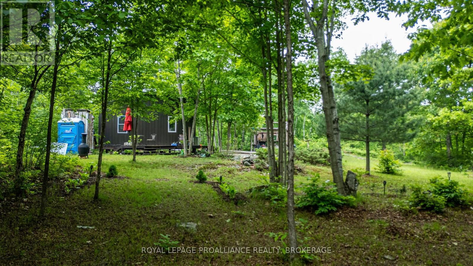 384 BIG CROSBY LAKE ROAD Image 7